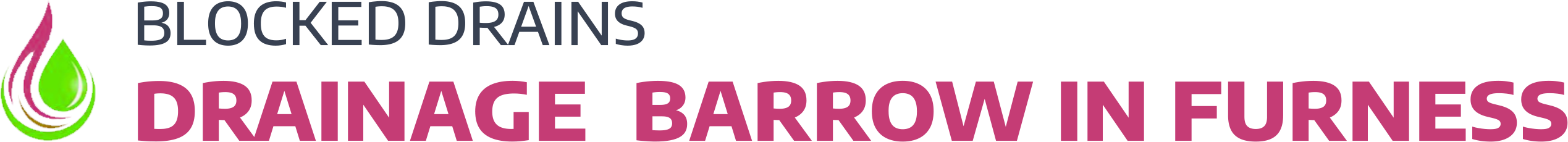 website logo